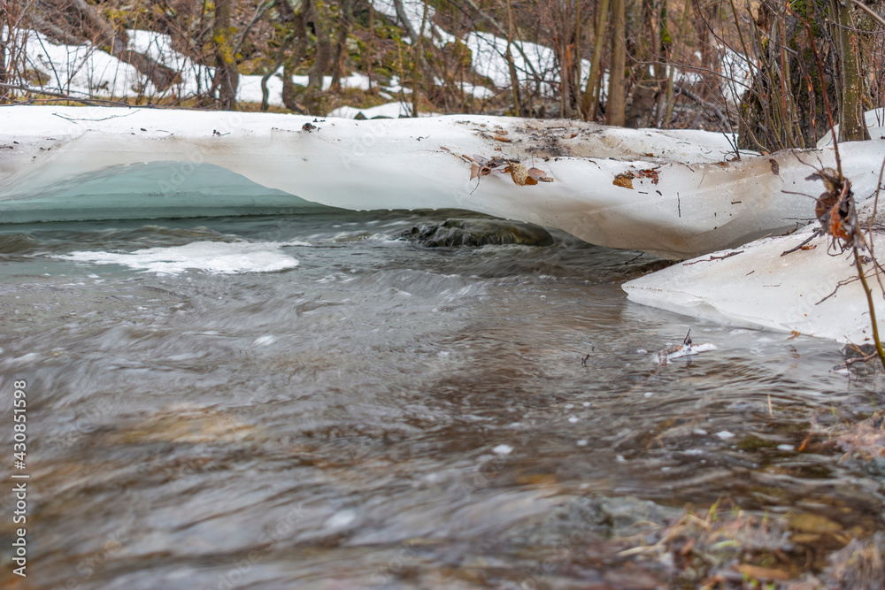 river in winter forest river in winter forest