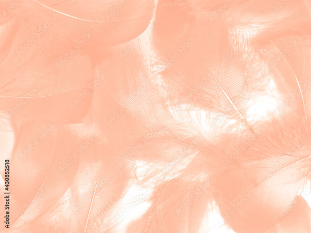 Fototapeta premium Beautiful abstract white and brown feathers on white background and soft yellow feather texture on white pattern and yellow background, feather background, gold feathers banners, brown texture