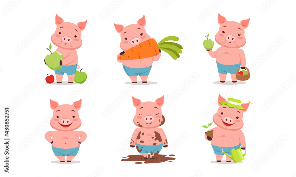 Funny Pig Eating Carrot, Splashing in Mud and Gardening Vector Set Funny Pig Eating Carrot, Splashing in Mud and Gardening Vector Set