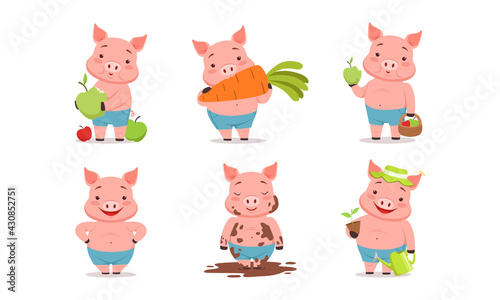 Fototapeta Naklejka Na Ścianę i Meble -  Funny Pig Eating Carrot, Splashing in Mud and Gardening Vector Set