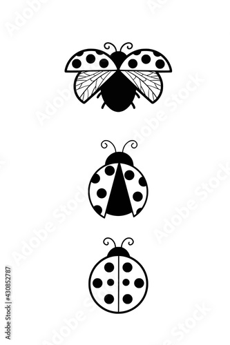 Set ladybug, Flying ladybug, black polka dots summer, simple black and white illustrationcartoon characters vector linear art for printing greeting cards and coloring books