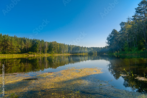 Fototapeta Naklejka Na Ścianę i Meble -  Smoke on the summer lake 