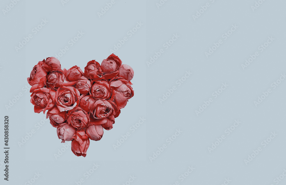 Heart shape made of pink rosebuds on blue background Heart shape made of pink rosebuds on blue background