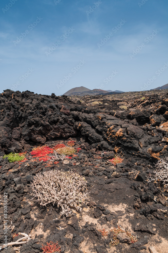 Paysage de l'ile volcanique de Lanzarote avec les concressions de laves, la mer , les cories, et les volcans à l'horizon au milieu de l' ocean atlantique Paysage de l'ile volcanique de Lanzarote avec les concressions de laves, la mer , les cories, et les volcans à l'horizon au milieu de l' ocean atlantique