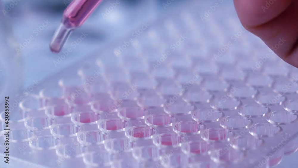 Scientist testing in laboratory for analysis or researching.