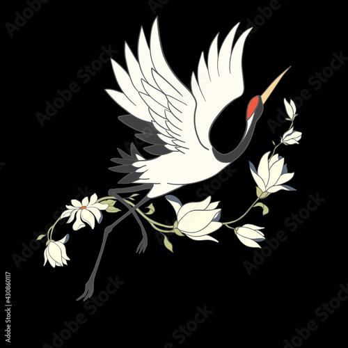 Japanese crane bird isolate on a white background.