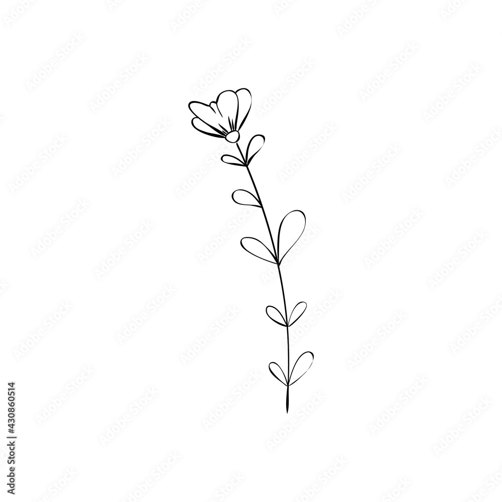 Sketch a leaf branch by hand on an isolated background.