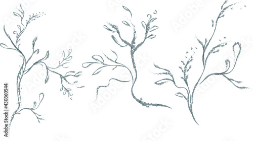 Set 3 Hand drawn wedding herb, plant and dry tree branch.