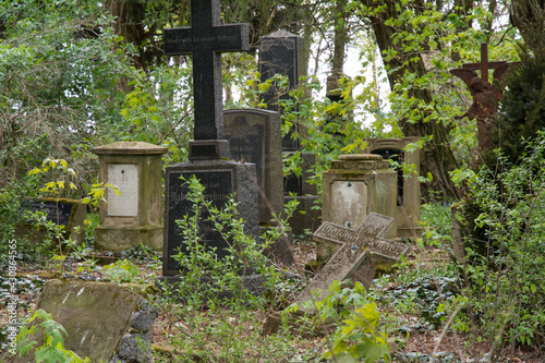 alter friedhof photo