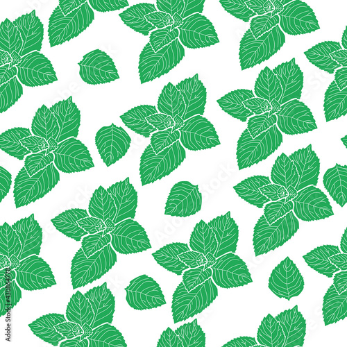 seamless pattern of bunches of mint leaves, gently green fragrant leaves on a white background