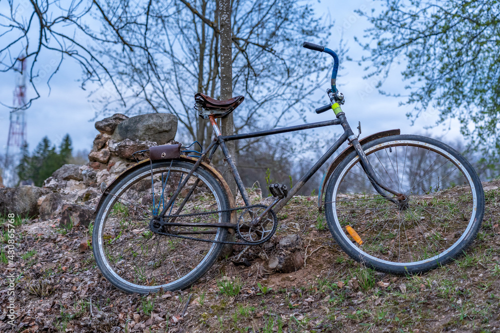An old rusted bike is left by a tree.. An old rusted bike is left by a tree..