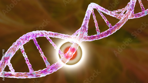 Genetic mutation, conceptual 3D illustration. Double stranded DNA molecule with mutation in a gene photo