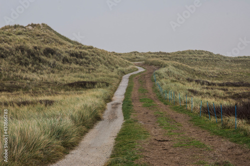 biking road in the dunes of Wadden Isle of Vlieland photo