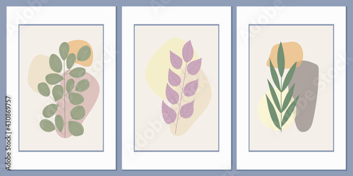 Drawing of a plant, botanical element. Field grass on the background of abstract geometric shapes. Boho minimalism. Vector wall art for postcards, wall art, interior card