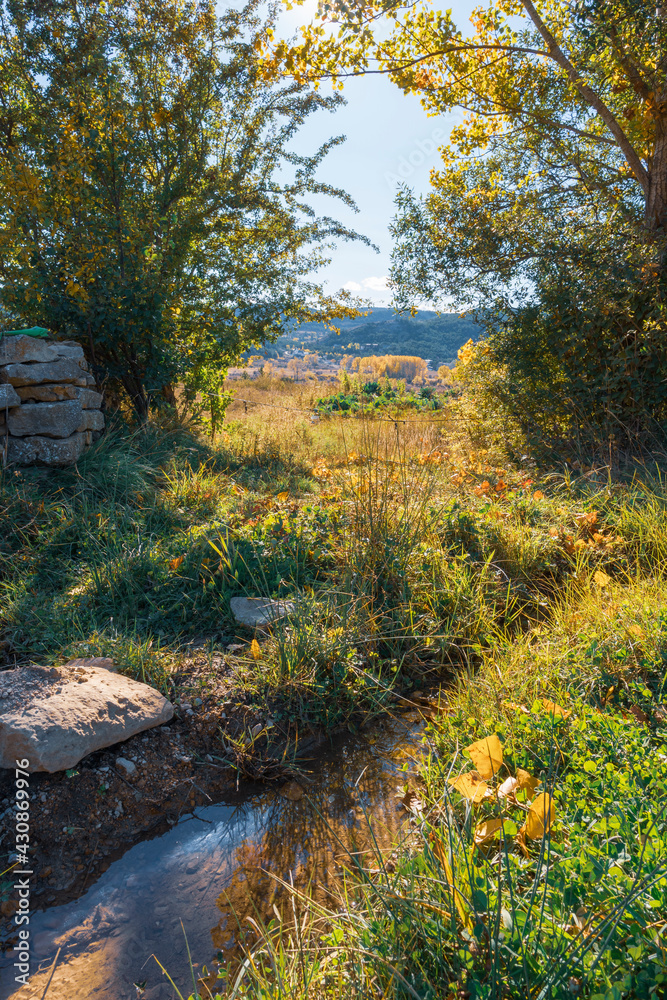 Gold colored leaves in the autumn trees Gudar mountains in Teruel Aragon Spain