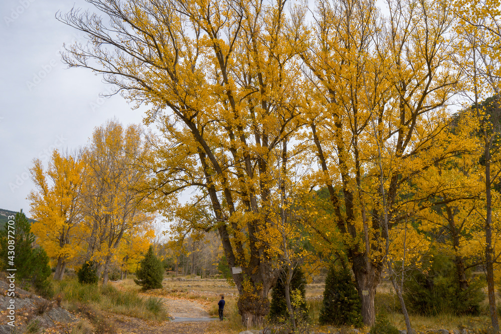 Autumn in Gudar mountains Teruel Aragon Spain Autumn in Gudar mountains Teruel Aragon Spain