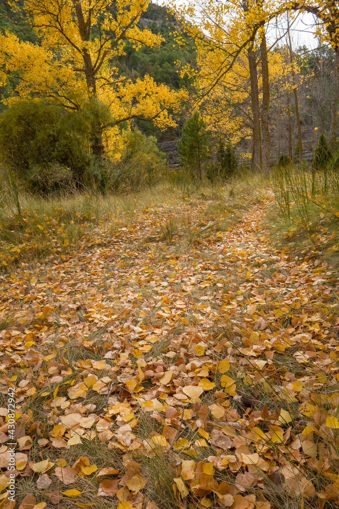 Autumn in Gudar mountains Teruel Aragon Spain Autumn in Gudar mountains Teruel Aragon Spain