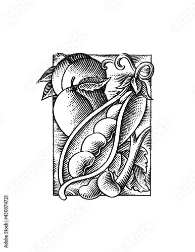 beans and peaches illustration
