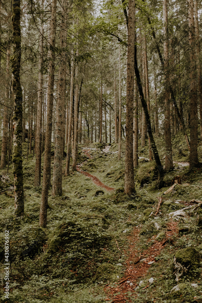 Obraz premium Bayern