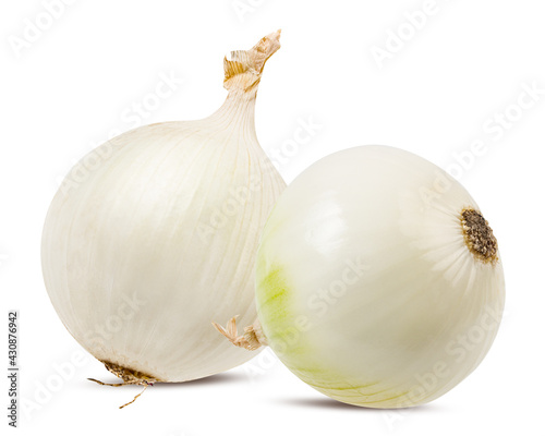 Two white onions isolated on white background  with clipping path
