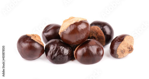 Wallpaper Mural Guarana seed isolated on white background. Dietary supplement guarana, caffeine cource for energy drinks. Paullinia cupana. Torontodigital.ca