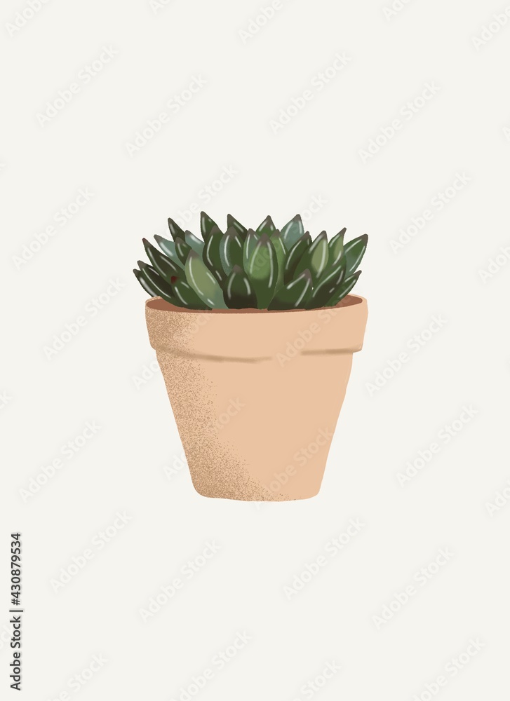 cactus in flowerpot. Succulent plants. Poster design. Flower in a pot isolated 