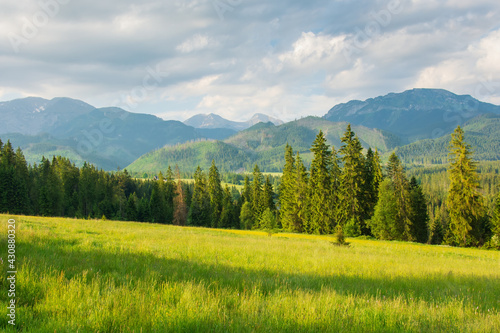 View of the Western Tatras from the clearing in P  az  wka