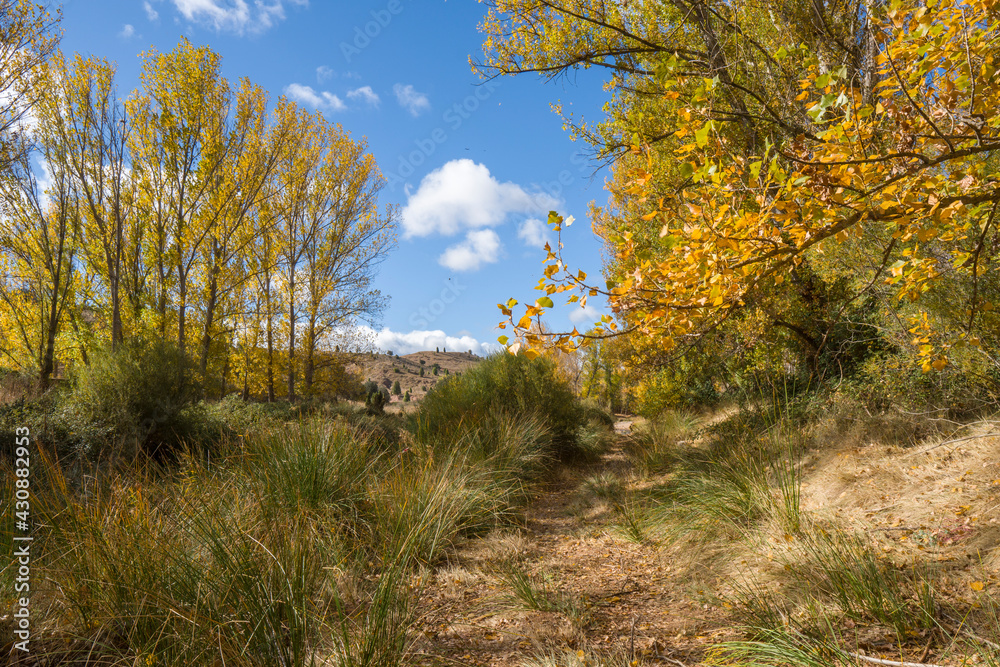 Fototapeta premium Autumn in Gudar mountains Teruel Aragon Spain