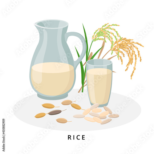 Rice milk in jug and glass, rice seeds. Plant milk, vegan milk concept. Vector illustration isolated on white background. Alternative milk and ingredients.