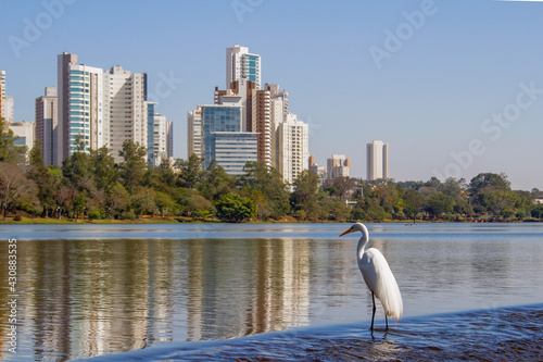 Igapo Londrina photo