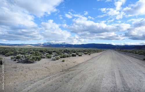 A scenic dirt road that travels through wild horse territory  in the Eastern Sierra Nevada Mountains  Mono County  California.