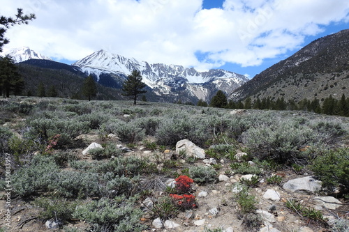 Beautiful scenery of the Humboldt-Toiyabe National Forest, in the Sierra Nevada Mountains, Mono County, California.