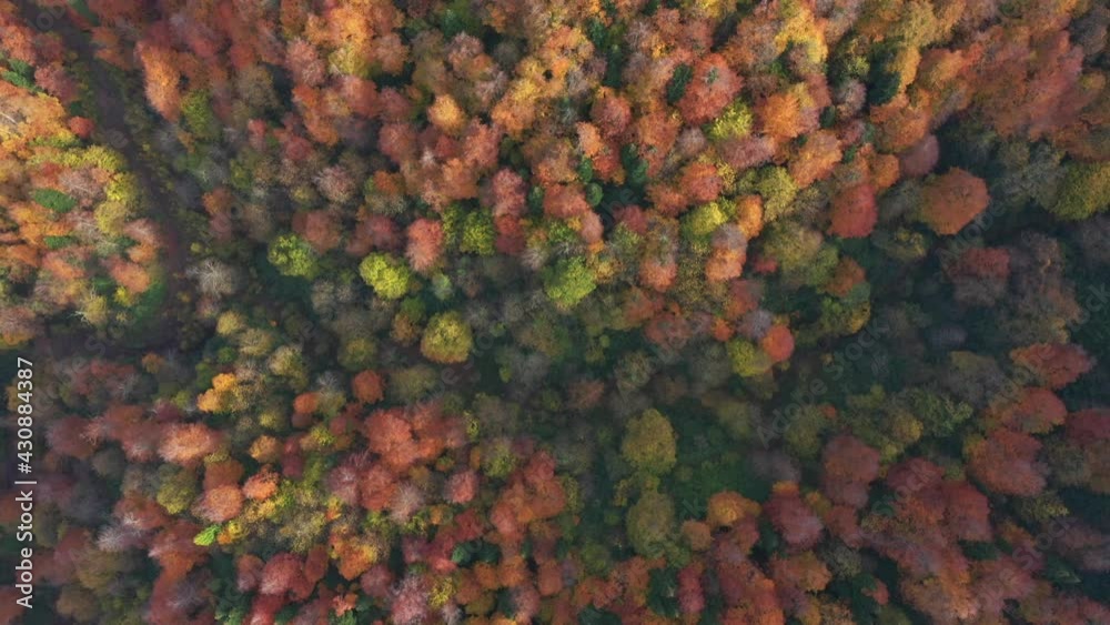Beautiful autumn landscape video with drone Beautiful autumn landscape video with drone