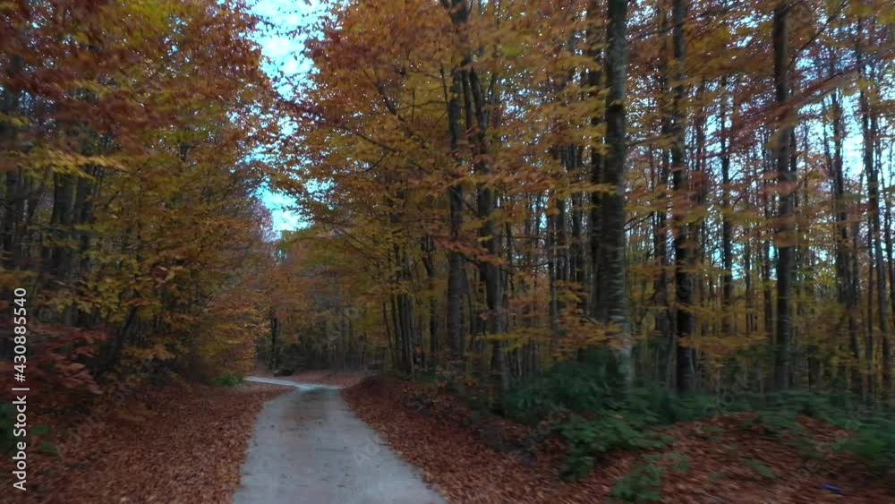 Beautiful autumn landscape video with drone Beautiful autumn landscape video with drone