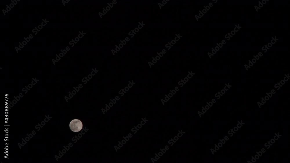 moon in the night moon in the night