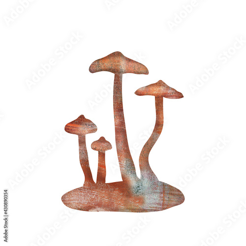 Illustration of Deadly webcap, a poisonous Cortinarius mushroom
