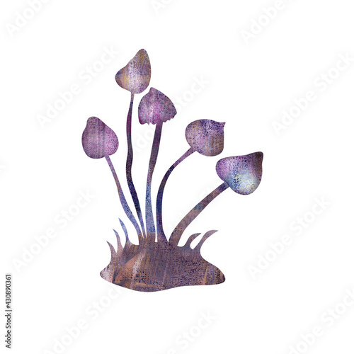 Illustration of hallucinogenic psilocybin mushroom