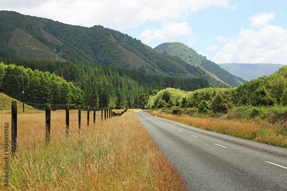 Gowan Valley road - New Zealand