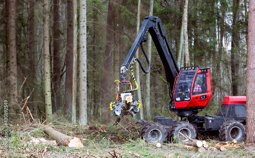 Timber harvester. Forest cutting with the help of a harvester. Forest cutting with the help of special equipment