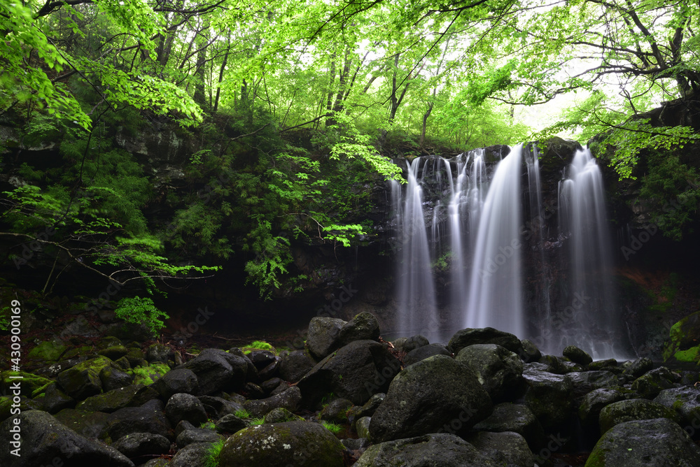 Obraz premium Beautiful waterfall in a green forest