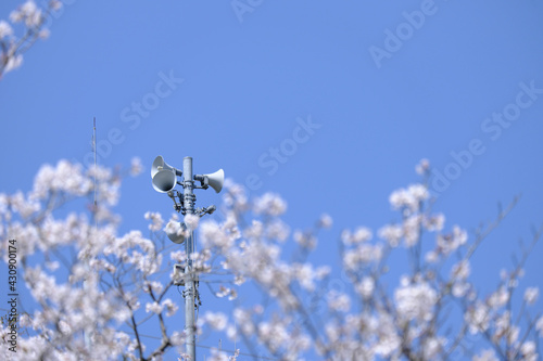 桜の奥に見える防災無線 © v_0_0_v