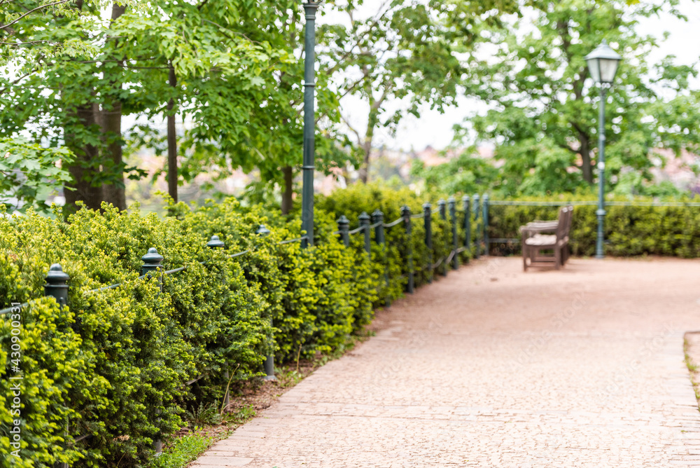 A cozy path at the retaining wall going into the distance. Urban corner of greenery.