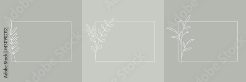 Set of Hand Drawn Organic grass Leaves and flowers with square frame, Art floral elements, Botanical illustration, Decorative Leaf picture, Vector Illustration for graphic design, logos, cosmetics
