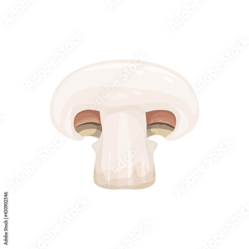 Champignon small edible mushroom with white cap cut on half or sliced isolated 3D realistic icon. Vector white button mushroom, table champignon cremini. Fungi autumn fall food, crimini or porcini