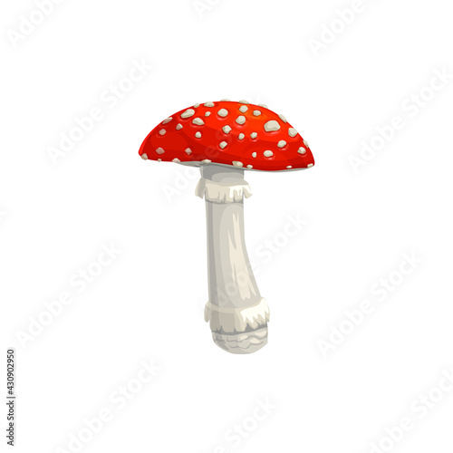 Mushroom fly agaric vector icon, cartoon amanita toxic forest plant with red and white mottled cap isolated on white background. Autumn season symbol, botanical object