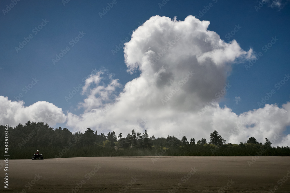 clouds over trees clouds over trees