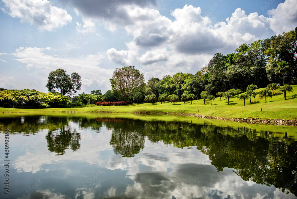Fototapeta premium lake in the park