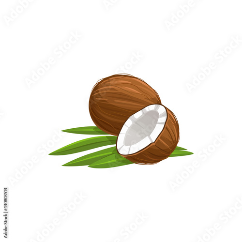 Tropical coconut isolated cut in half and whole fruit with green leaves. Vector brown matured nut white inside, exotic palm tree fruit. Nut in hard shell, vegetarian food, oil and milk ingredient