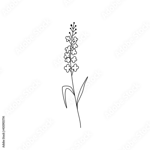 Abstract lavender lilac flowers line drawing art vector illustration