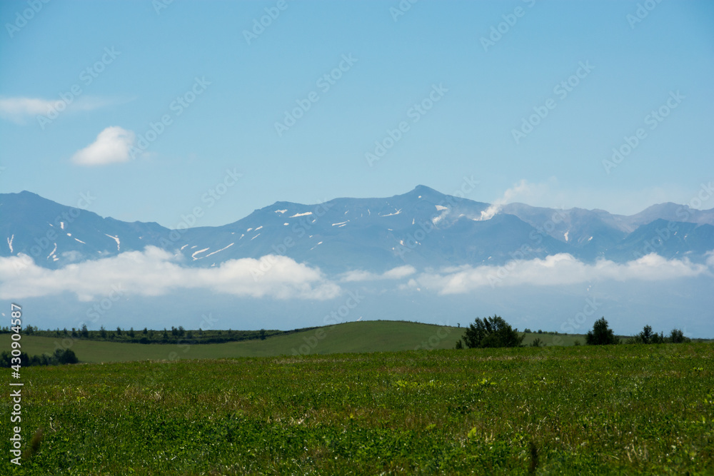 Fototapeta premium 草原と夏山 